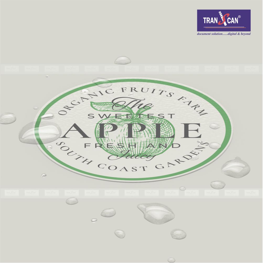 White Opaque PVC Thin Film (Vinyl)